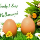 58e38b8309836_o_full